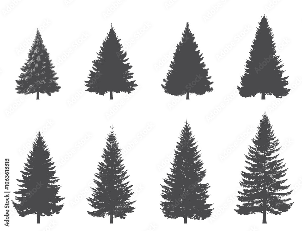 Obraz premium Spruce tree silhouette set. Christmas, New Year and nature design elements. Conifer isolated vector images