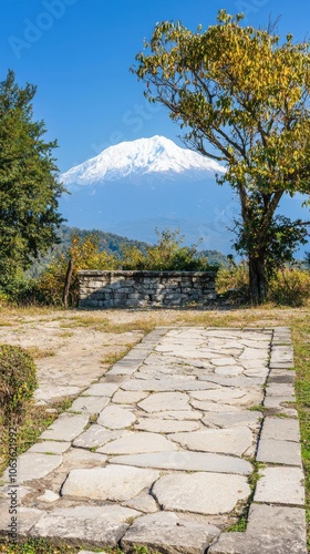 Scenic Pathway Leading to Snow-Capped Mountain View