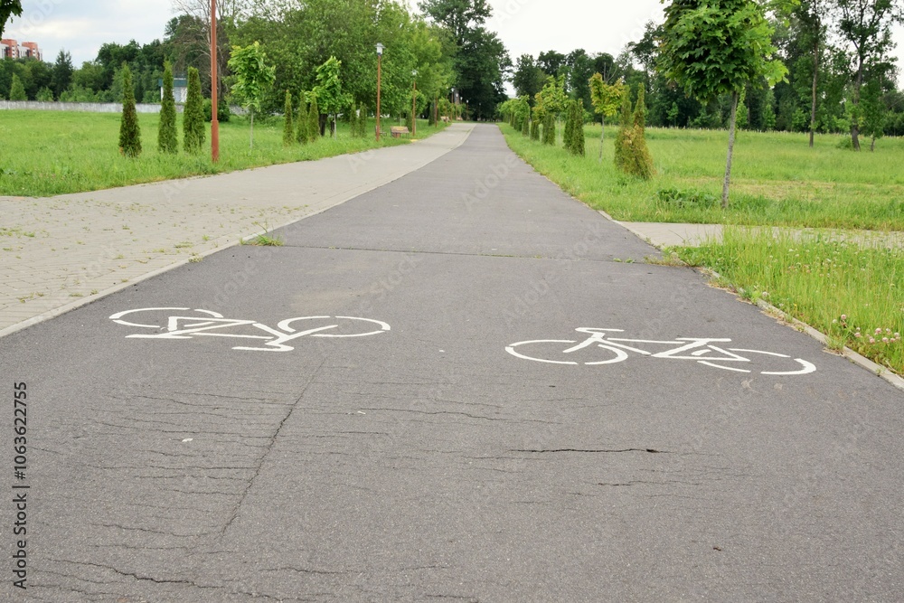 Obraz premium Two bike paths in the park with opposite directions of traffic 