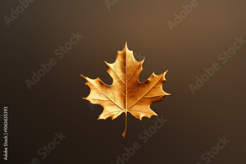 Dry fallen maple tree leaf on dark background. Minimal creative concept of fall season coming. Copy space  photo