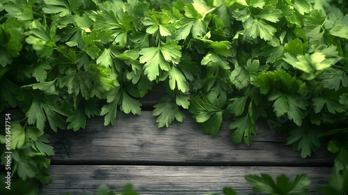 Fresh Green Parsley Leaves on Rustic Dark Wood Background - Organic Herb Texture for Food Design, Culinary, and Natural Product Branding.