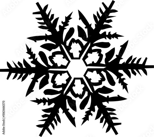 black and white snowflake
