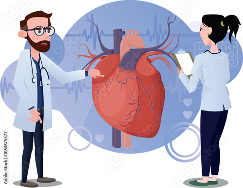 two doctors studying the Human heart structure. Cardiac veins and venules.