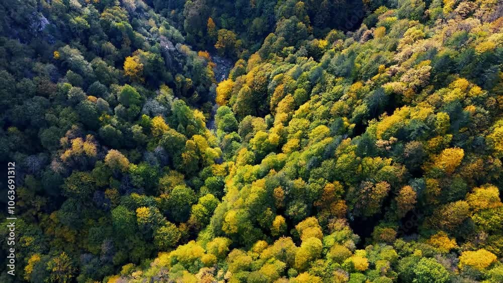 Aerial view of Seker Canyon in Yenice, Karabuk Turkey Aerial view of Seker Canyon in Yenice, Karabuk Turkey