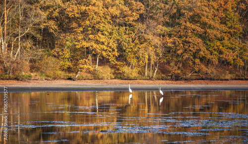 At the Thülsfeld dam in Germany photo