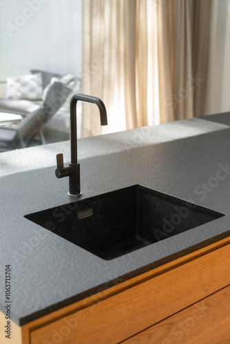 Modern black kitchen sink with faucet in a bright, contemporary apartment