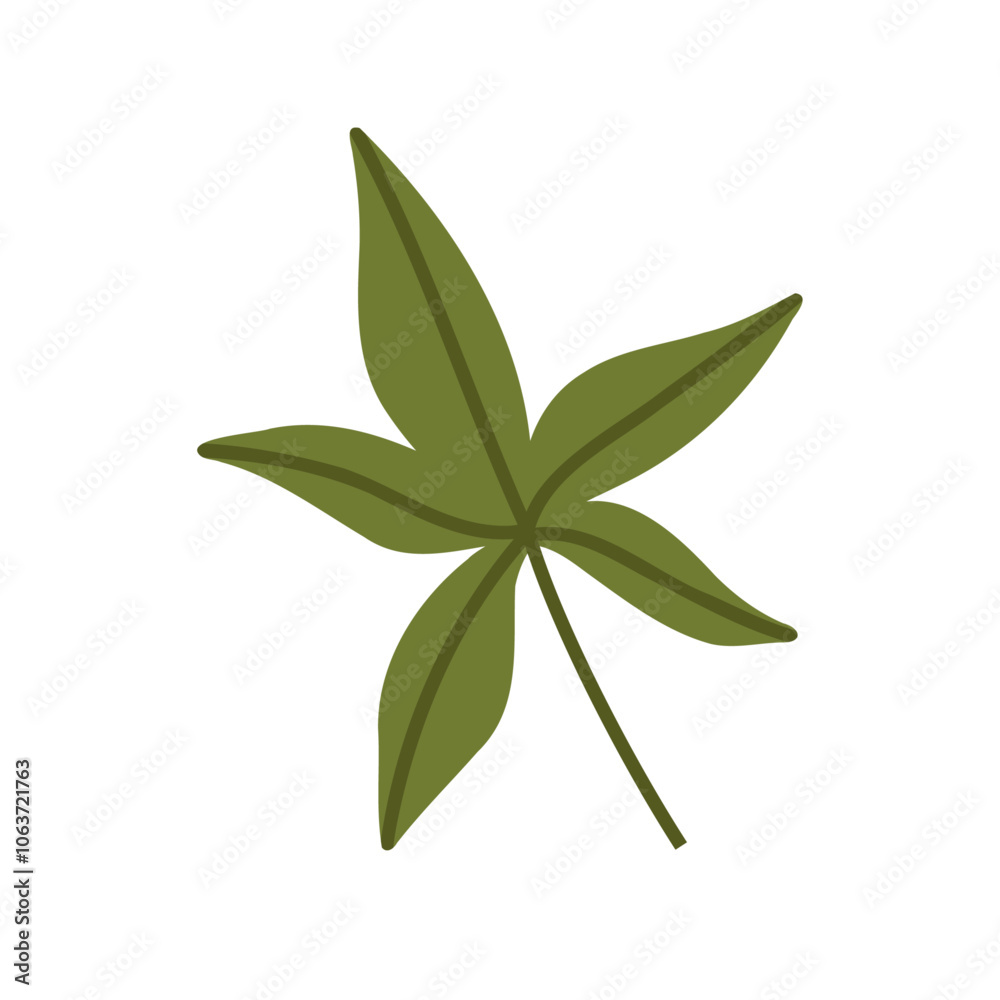Cute hand drawn autumn leaf, cartoon flat vector illustration isolated on white background. Simple green fall leaf, nature design element. Cute hand drawn autumn leaf, cartoon flat vector illustration isolated on white background. Simple green fall leaf, nature design element.