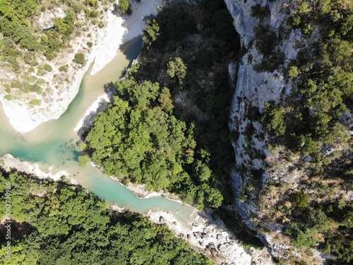 A photo of a river in the middle of a forest photo