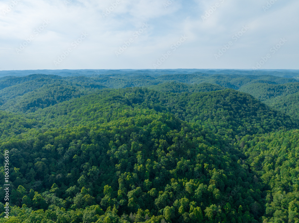 aerial view, appalachian mountains, Appalachian region, biodiversity, conservation, dense forest, environmental, forest, green mountains, hills, Landscape, Lush greenery, mountain range, Natural beaut