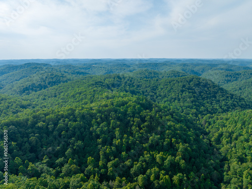 Obraz na płótnie aerial view, appalachian mountains, Appalachian region, biodiversity, conservation, dense forest, environmental, forest, green mountains, hills, Landscape, Lush greenery, mountain range, Natural beaut w salonie