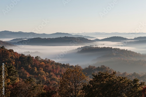 Majestic Mountain Range Enveloped by Whimsical Fog, Autumn's Gracefully Colored Forest Glowing, Serenity Embracing Natural Beauty