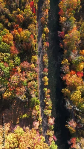 Scenic aerial view of river canal foliage autumn sunrise