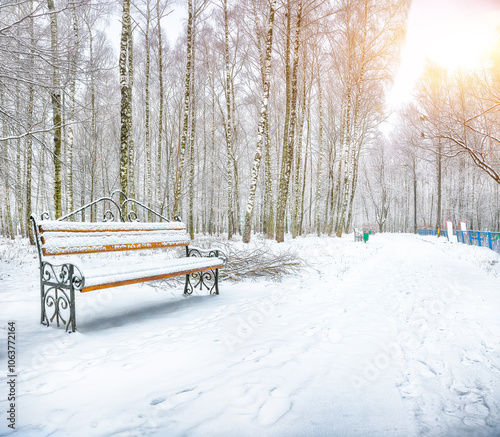 Amazing view of park bench and trees covered by heavy snow