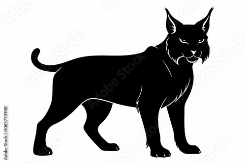 black bobcat silhouette vector on white background, Bobcat Silhouettes Vector Animal Illustration on White Background ,bobcat silhouette vector illustration Symbole.