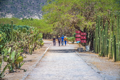 Group of people walking among arid climate vegetation, in the archaeological zone of Tula Hidalgo photo