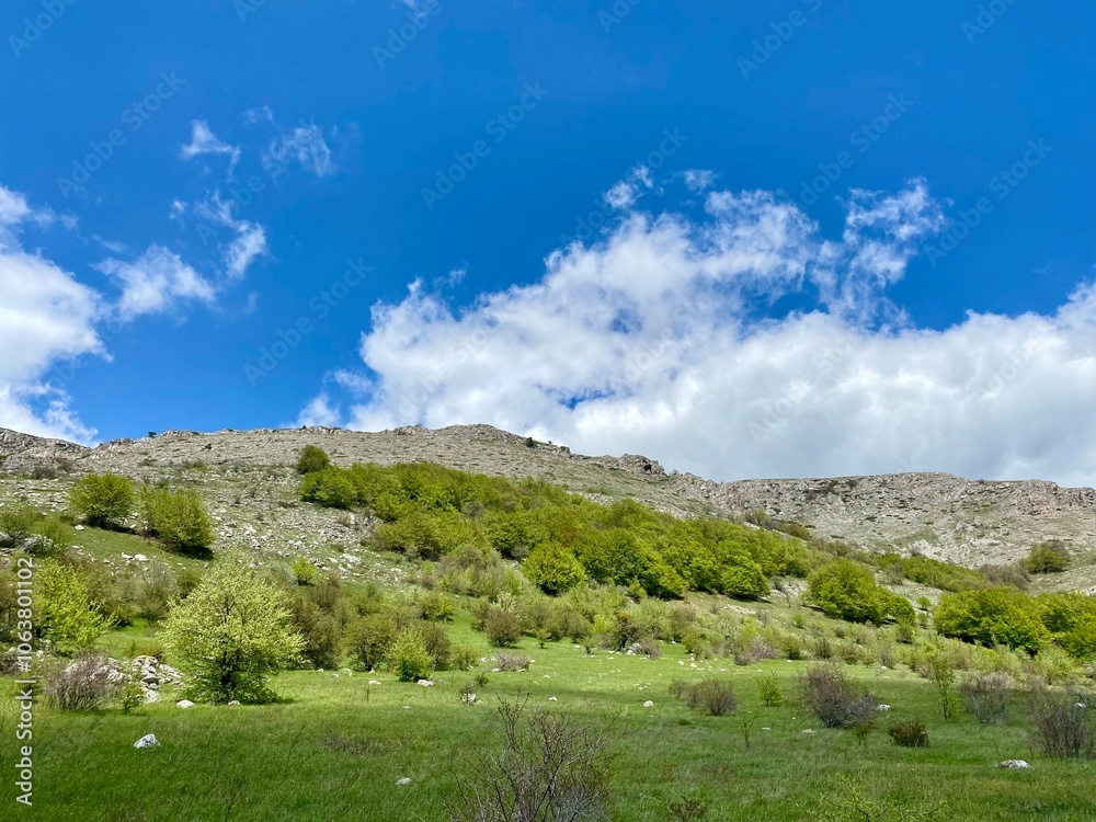 beautiful spring mountain landscape with blue sky beautiful spring mountain landscape with blue sky