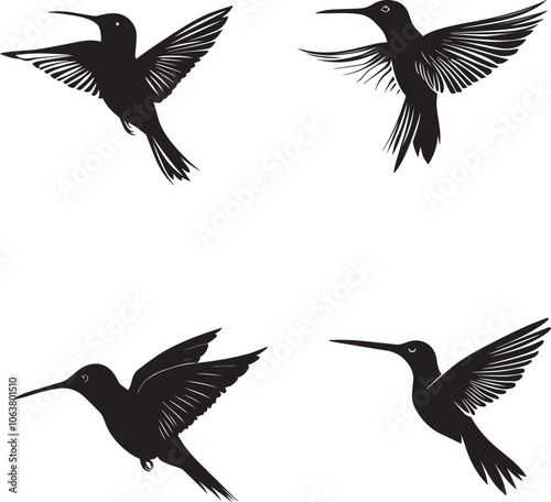 Silhouette of hummingbird hovering animals vector
