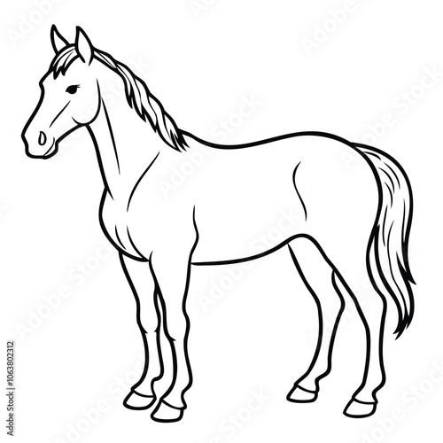 Line Drawing of a Horse