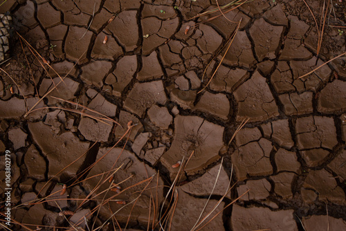 Quadro su tela Dried cracked mud water erosion