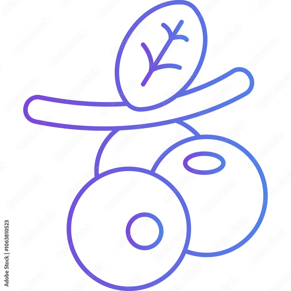 Berries vector icon Berries vector icon