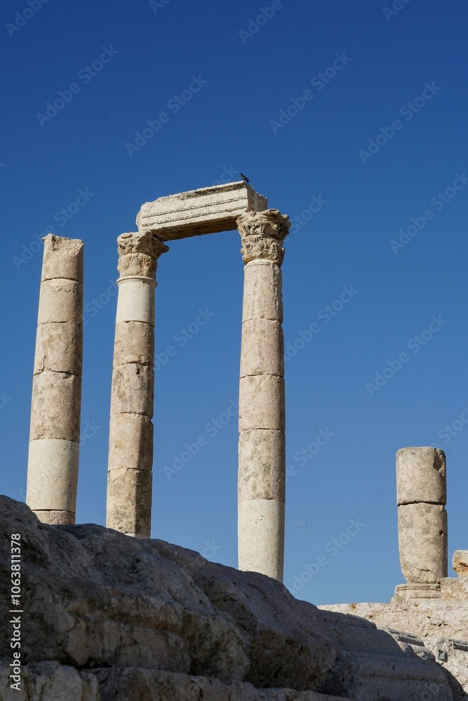 ruins of ancient roman forum ruins of ancient roman forum