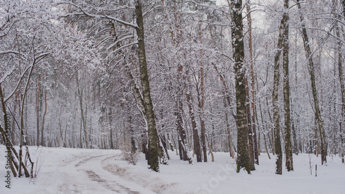 A snowy winter forest with a quiet road winding between the trees. The pure b...