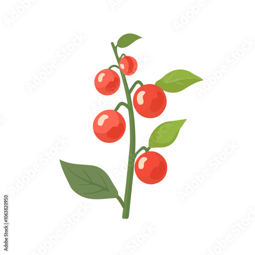 2D flat vector illustration holly berry icon isolated on a white background.