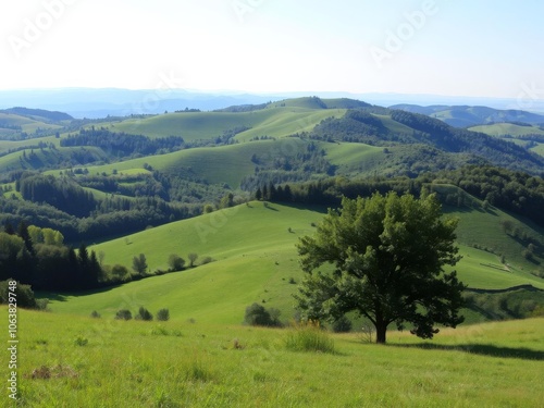 A breathtaking view of rolling hills covered in vibrant green grass under a clear blue sky, with a lone tree standing tall in the distance, scenery, peaceful