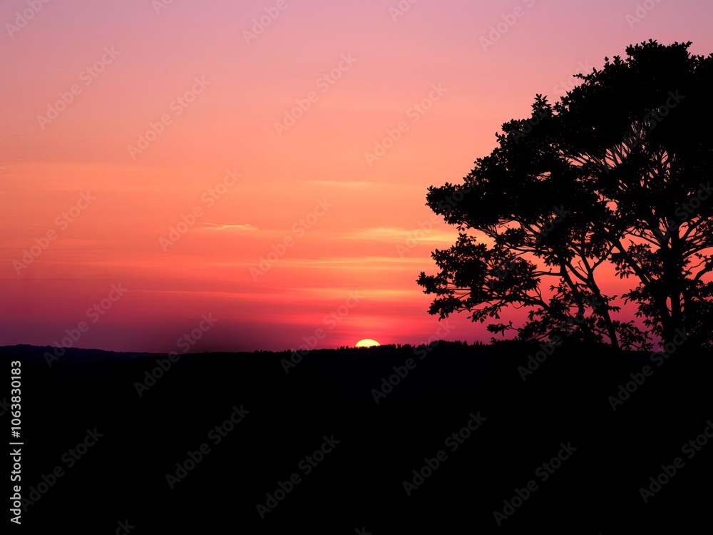 A breathtaking sunset over the horizon, casting vibrant hues of orange, pink, and purple across the sky, with silhouettes of trees in the foreground, sky, vibrant
