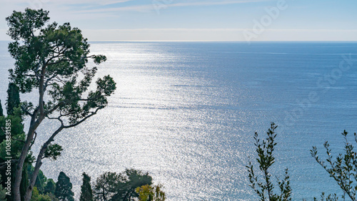 Vue sur la mer de Roquebrune sur Argens 