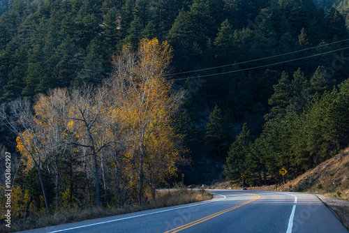 Boulder Colorado Fall Colors, Driving up Lefthand Canyon, Trees, Forest photo