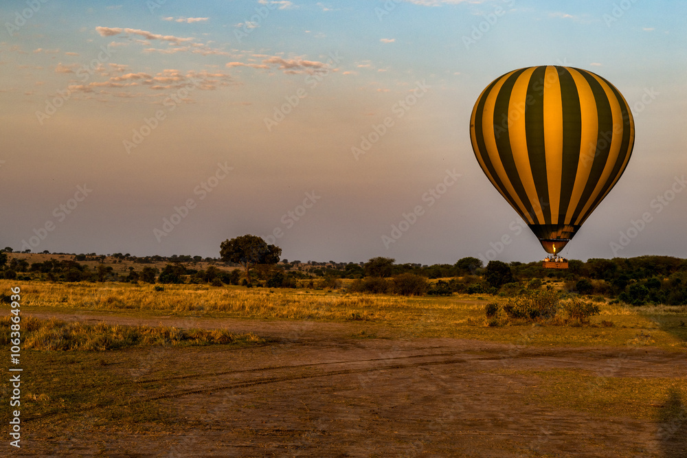 Obraz premium Ballonsafari