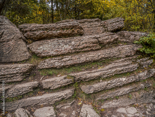 Close-up of rugged rock formations called Stone Books surrounded by greenery, showcasing natural texture and earthy tones, Homole Gorge, Pieniny, Poland photo