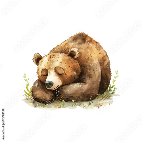 hibernating bear vector illustration in watercolor style