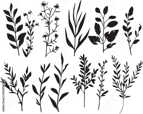 Set plants. Hand drawn vector illustration