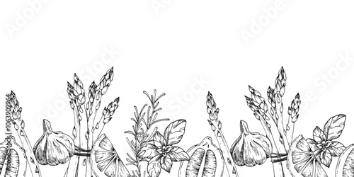 Asparagus, lemon, rosemary, garlic, rosemary, basil and pepper hand drawn ink seamless border. Vector black and white pattern .Illustration for food label design