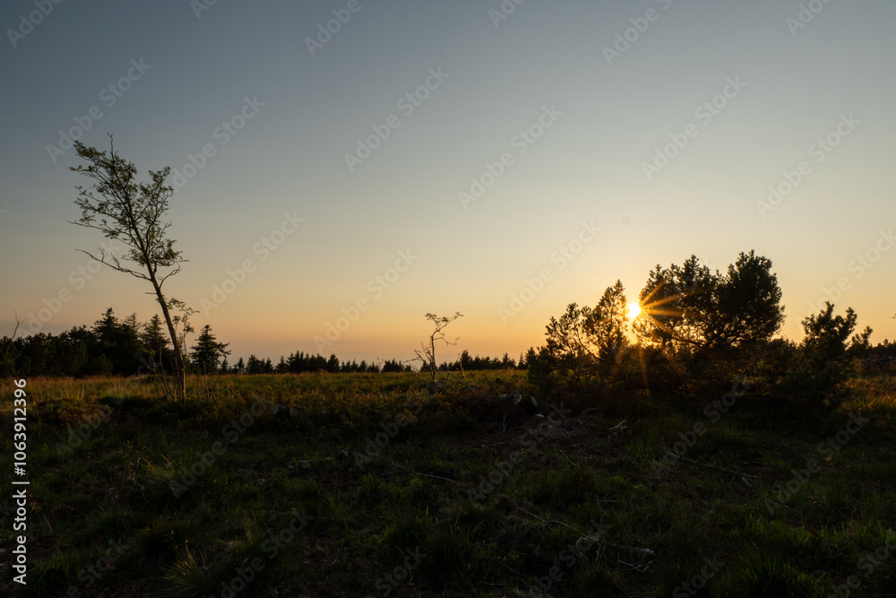 Wiese im Schwarzwald bei Sonnenuntergang Wiese im Schwarzwald bei Sonnenuntergang