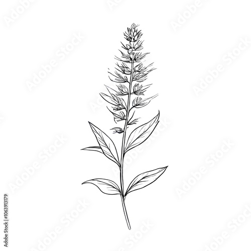 Flower concept design idea isolated on a white background