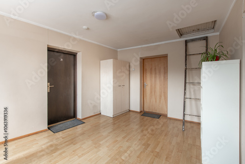 Home Corridor, Entrance Hall. Hallway. Walls, Hardwood Floor. LED Light on the Ceiling. Old Retro Doors