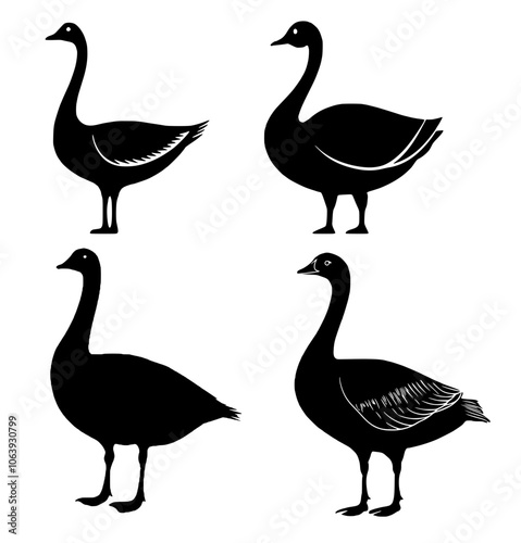 Gans Silouette