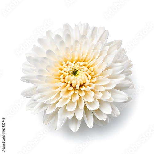 Wallpaper Mural Flower concept design idea isolated on a white background Torontodigital.ca