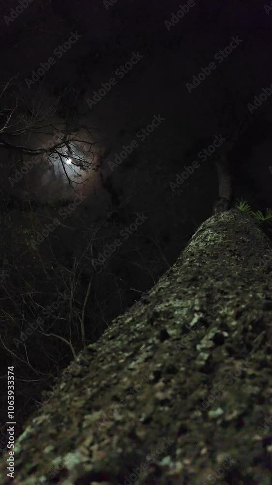 Noite e Lua
