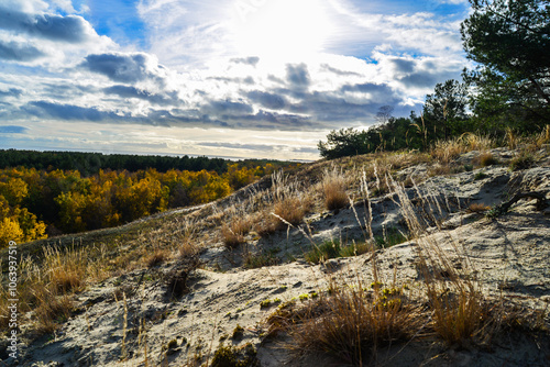 a sand dune  with a few trees and grass and  a sky with clouds