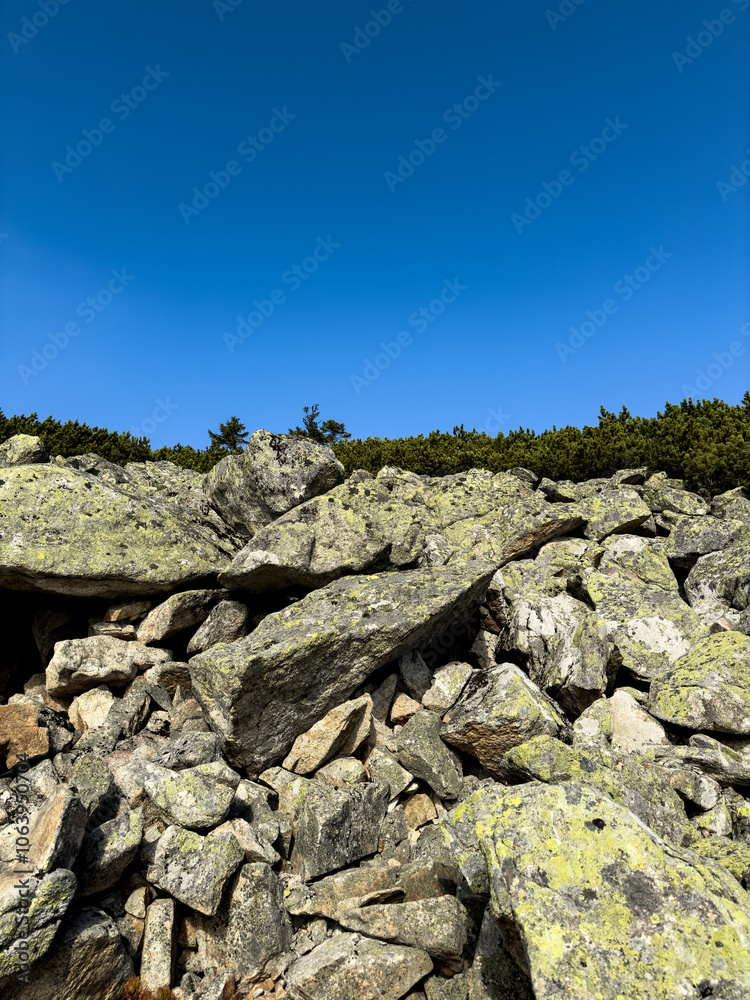 rock trail at Slavkovský Peak