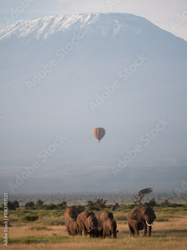 A sunrise landscape with a herd of elephants walking away from Mount Kilimanjaro in the background and a hot air balloon. 