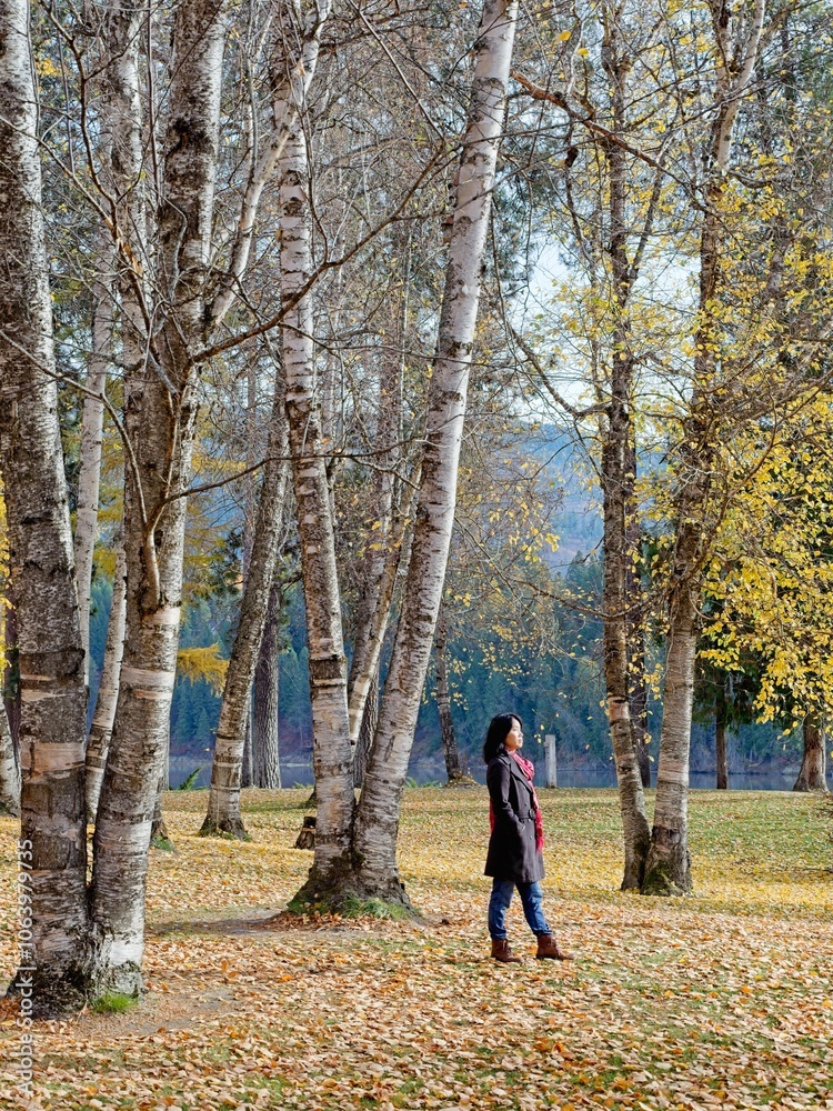 Obraz premium Strolling through a park in autumn.