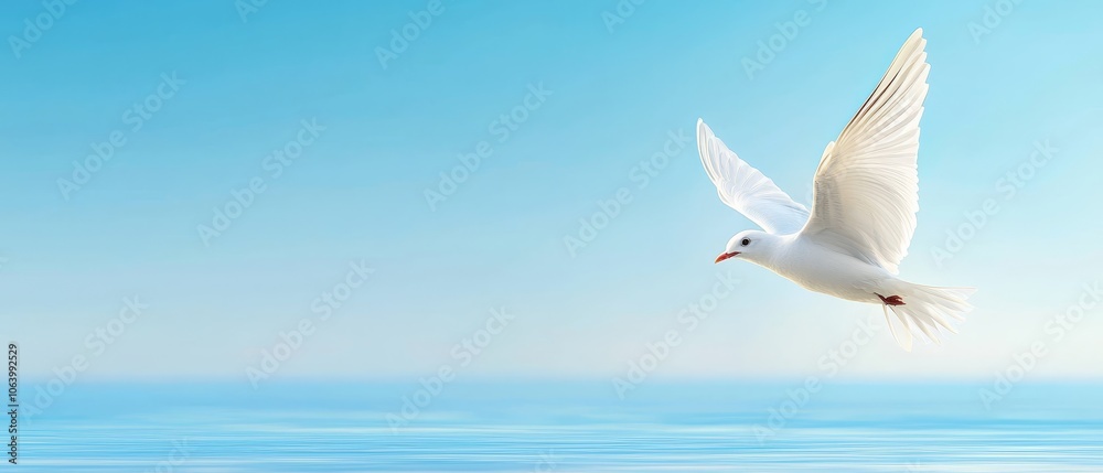 Fototapeta premium A white bird flying over a body of water
