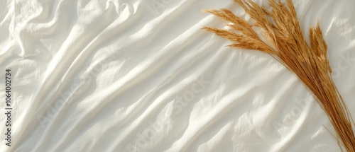 Wallpaper Mural A bunch of dried grass on a white sheet Torontodigital.ca