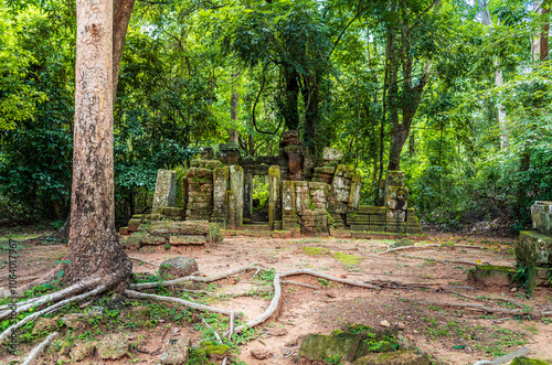 Roots, overgrown silk-cotton and strungler fig trees and ruins at the Ta Prohm temple in the Cambodian jungle