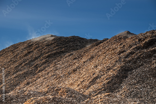 Photos Huge pile of fresh woodchips against the sky.. pile woodchips.